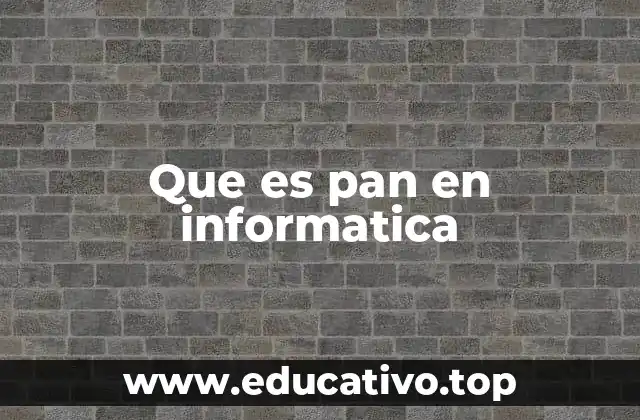 Que es pan en informatica
