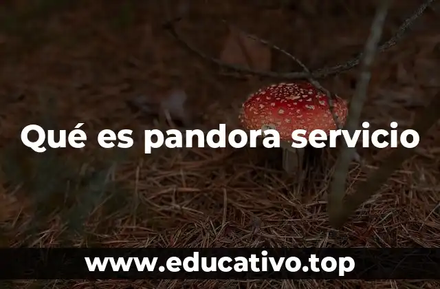 Qué es pandora servicio