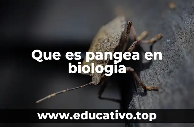 Que es pangea en biologia