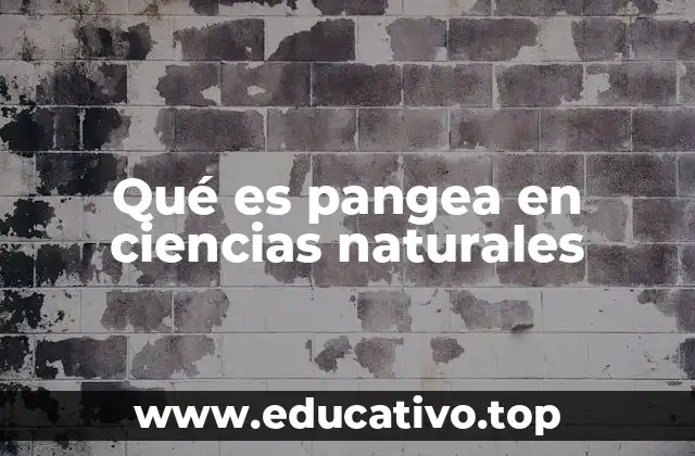 Qué es pangea en ciencias naturales