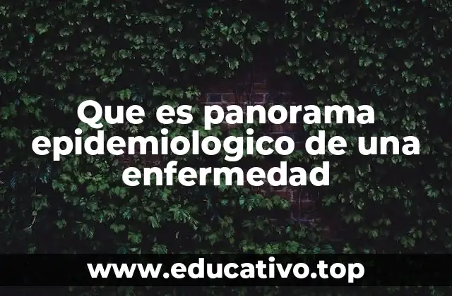 La importancia de entender la situación sanitaria de una enfermedad