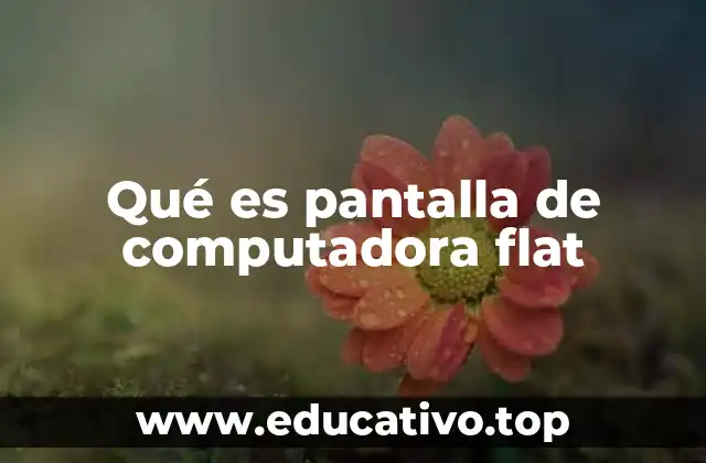 Qué es pantalla de computadora flat
