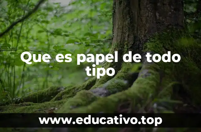 Que es papel de todo tipo