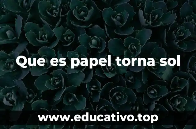 Que es papel torna sol