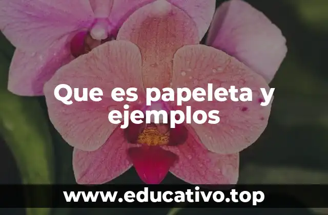 Que es papeleta y ejemplos