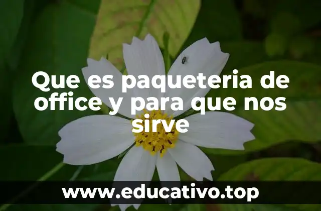 Que es paqueteria de office y para que nos sirve