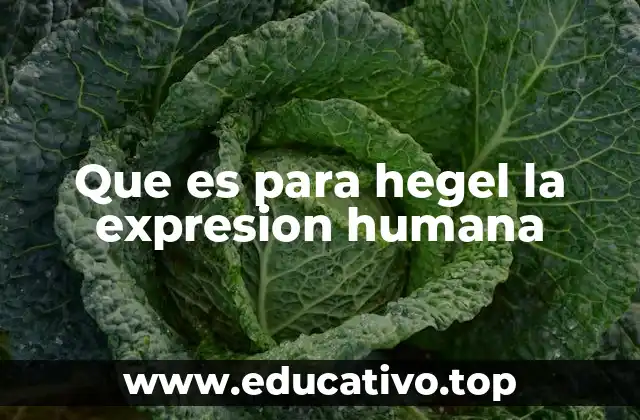 Que es para hegel la expresion humana
