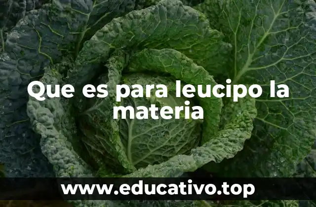 Que es para leucipo la materia