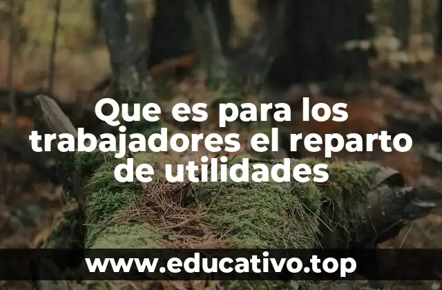 Que es para los trabajadores el reparto de utilidades