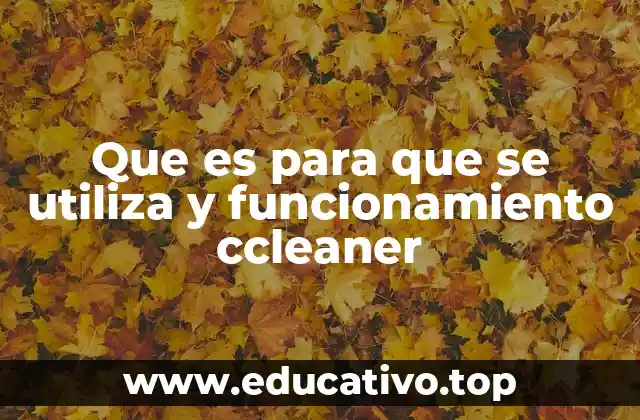 Que es para que se utiliza y funcionamiento ccleaner