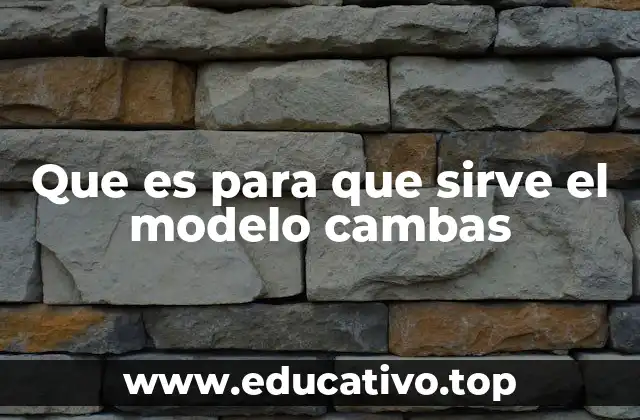 El enfoque integral del modelo CAMBAS