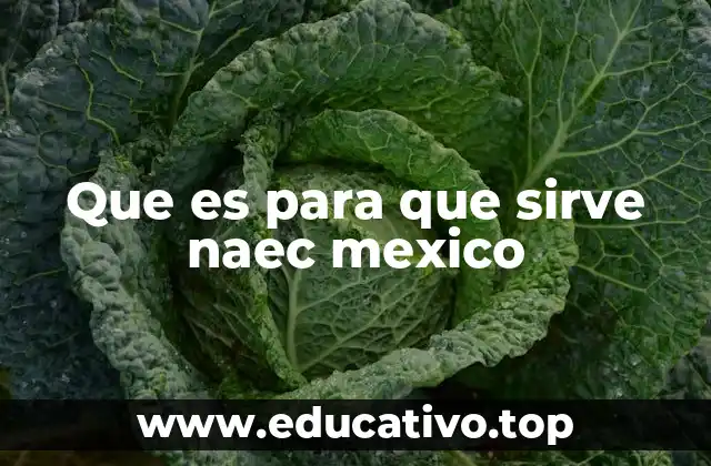 Que es para que sirve naec mexico