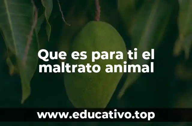 Que es para ti el maltrato animal