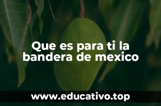 Que es para ti la bandera de mexico