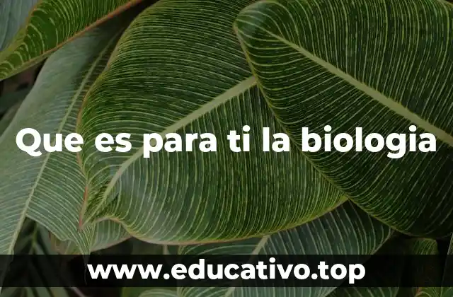 El universo de la vida: una mirada más allá de lo obvio