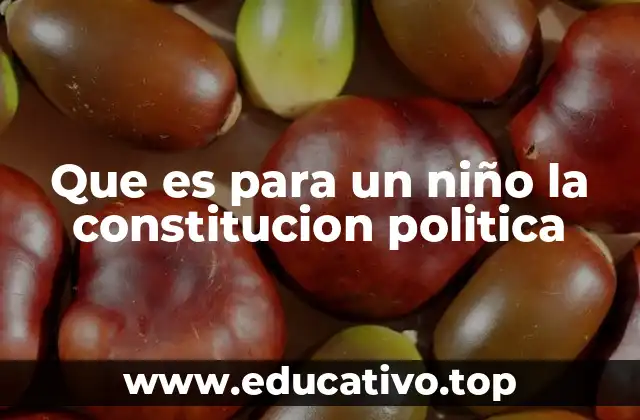 Que es para un niño la constitucion politica