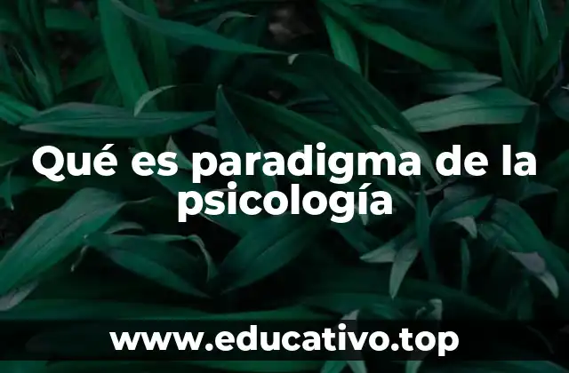 Qué es paradigma de la psicología