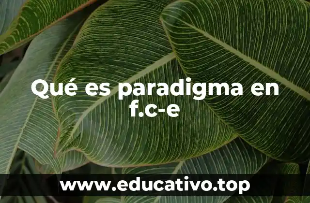 Qué es paradigma en f.c-e