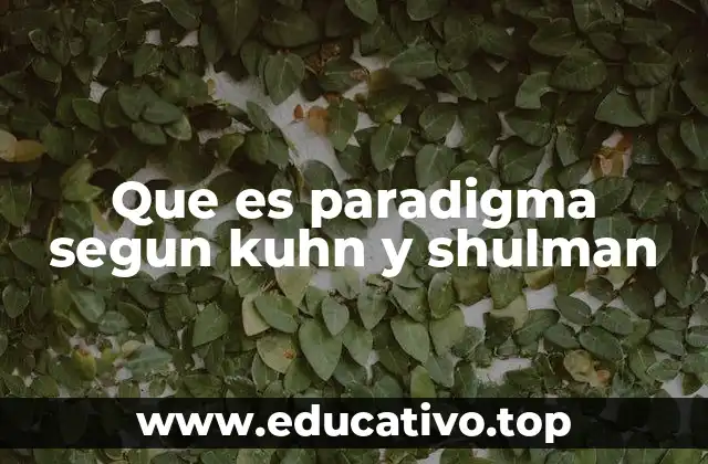 Que es paradigma segun kuhn y shulman