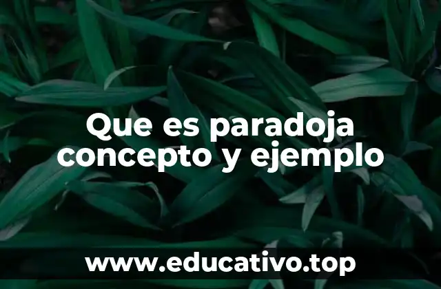Que es paradoja concepto y ejemplo