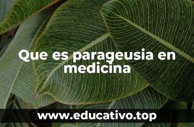 Que es parageusia en medicina