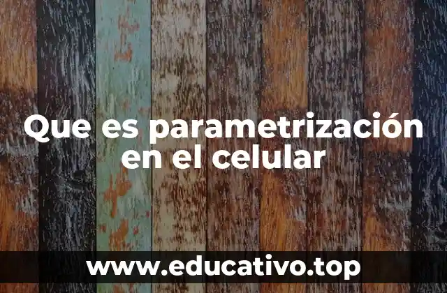 Que es parametrización en el celular