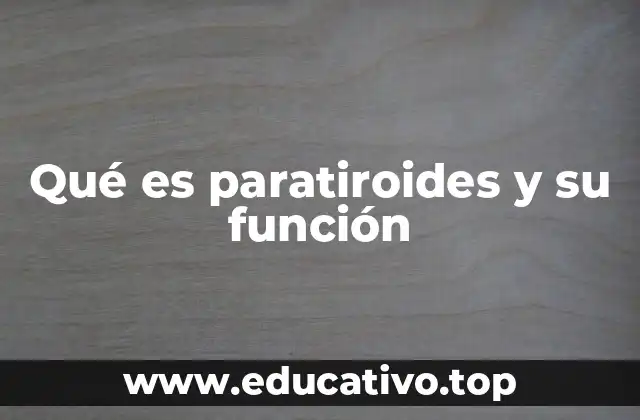 Qué es paratiroides y su función