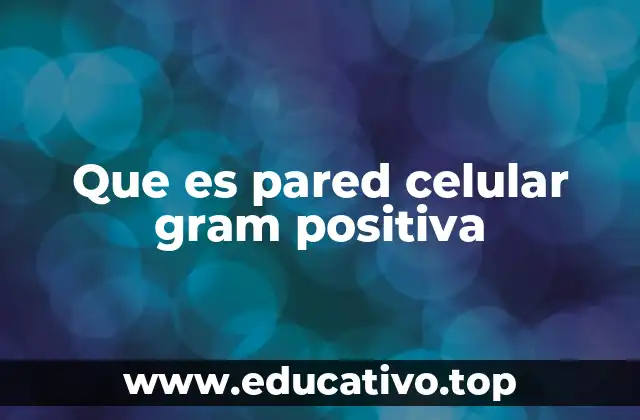 Que es pared celular gram positiva
