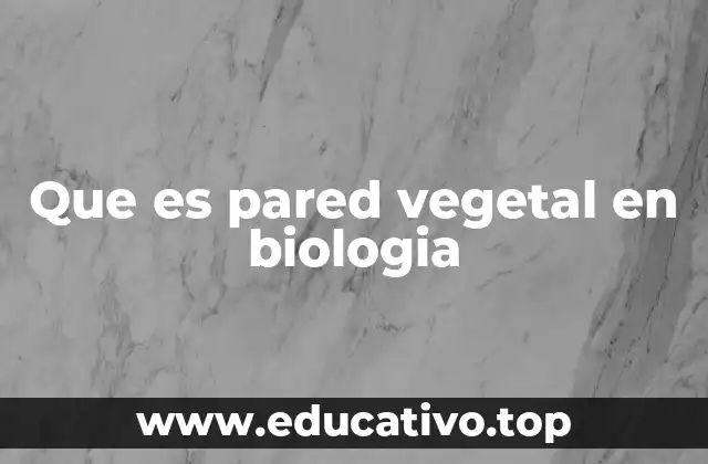 Que es pared vegetal en biologia