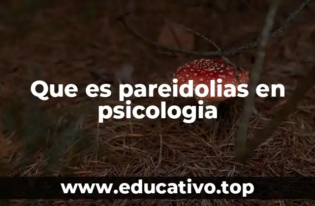Que es pareidolias en psicologia