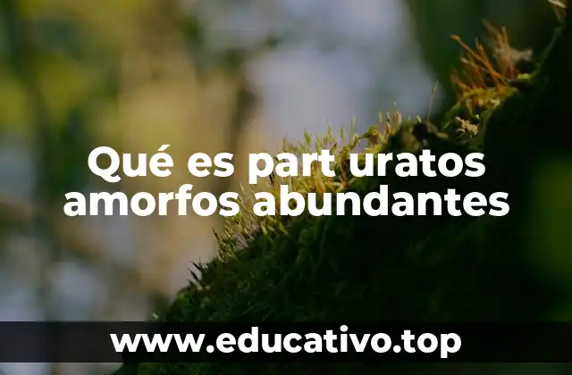 Qué es part uratos amorfos abundantes