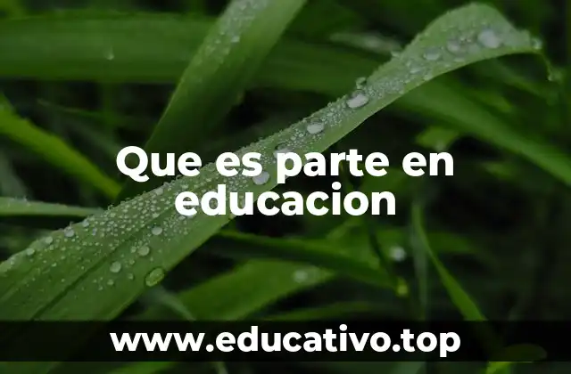 Que es parte en educacion