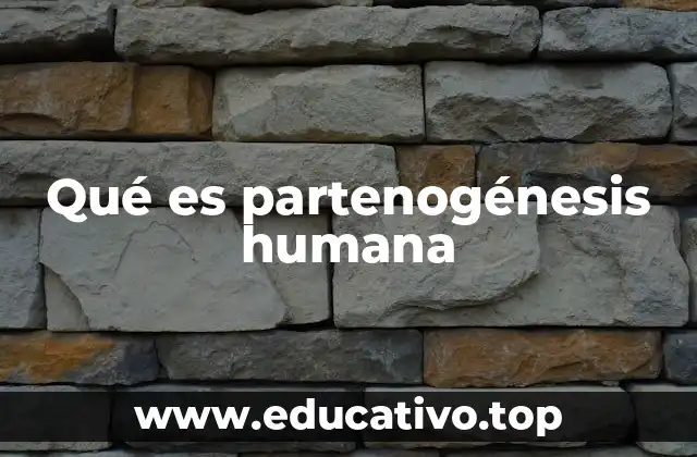 Qué es partenogénesis humana