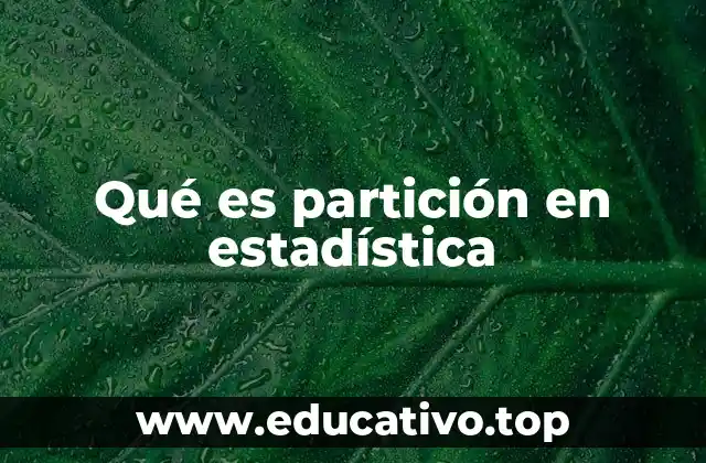 Qué es partición en estadística