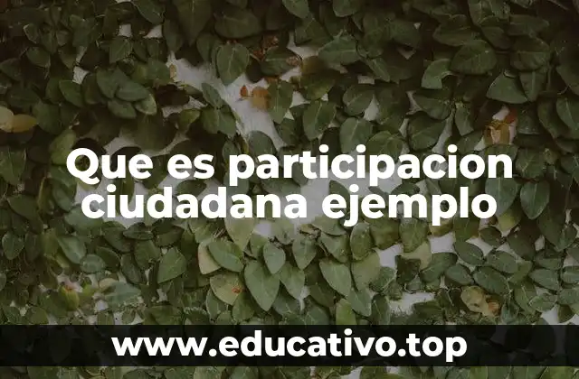 Que es participacion ciudadana ejemplo