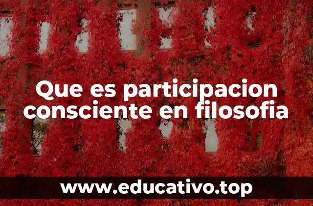 Que es participacion consciente en filosofia