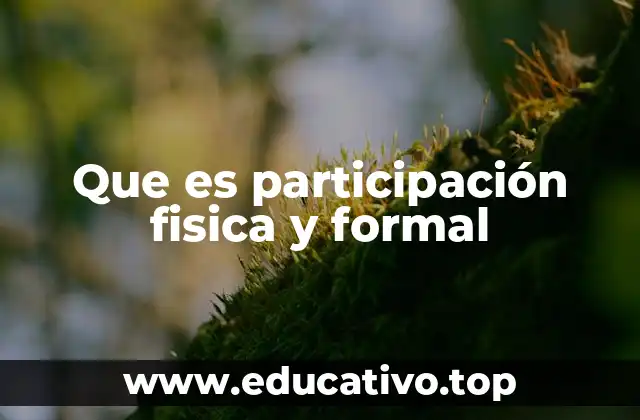 Que es participación fisica y formal