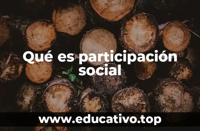Qué es participación social