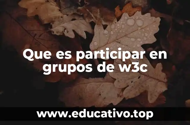Que es participar en grupos de w3c