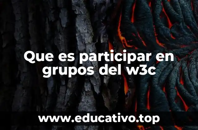 Que es participar en grupos del w3c