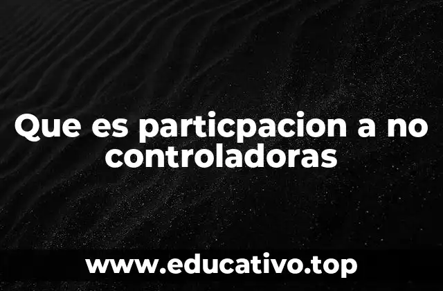 Que es particpacion a no controladoras