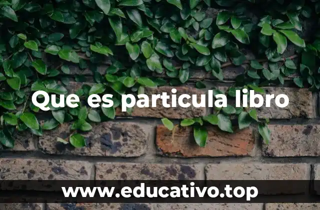 Componentes esenciales de la estructura de un libro