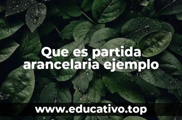 Que es partida arancelaria ejemplo