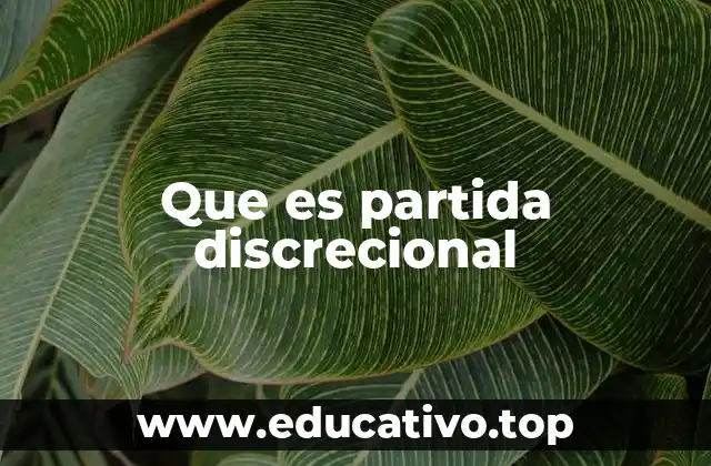 Que es partida discrecional