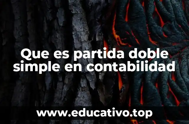 Que es partida doble simple en contabilidad