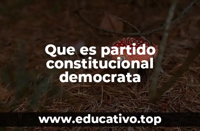Que es partido constitucional democrata
