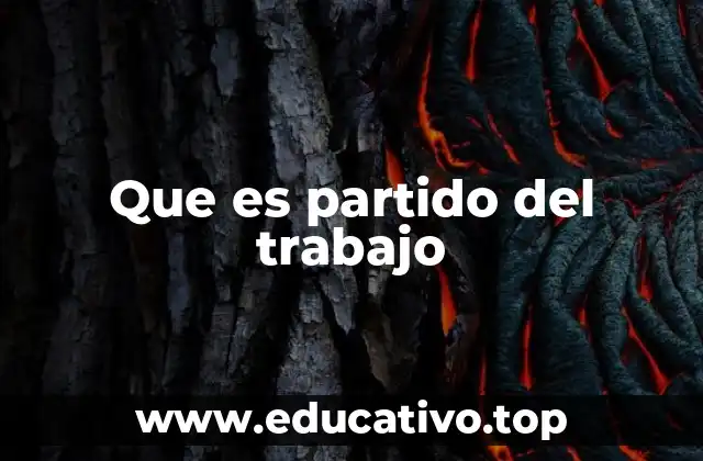 Que es partido del trabajo