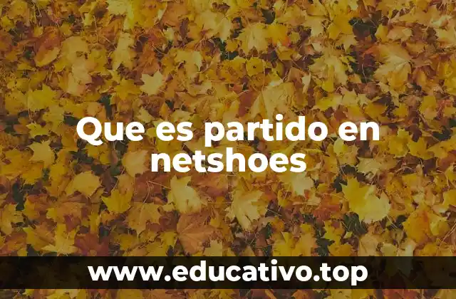 Que es partido en netshoes