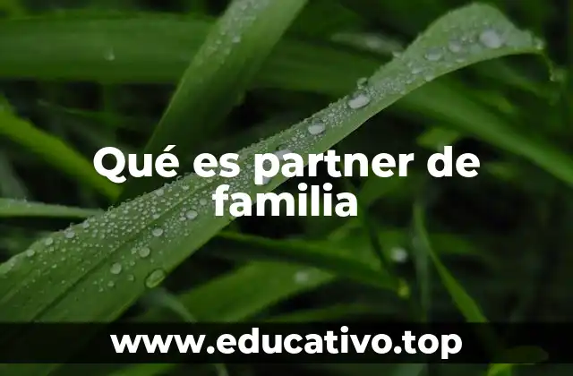 Qué es partner de familia