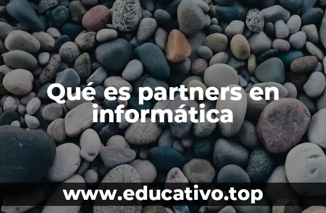 Qué es partners en informática